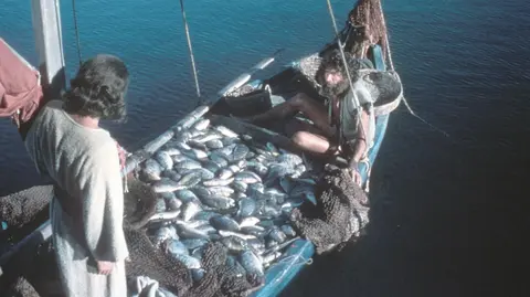 ढेरे मछरियन के पकड़लई